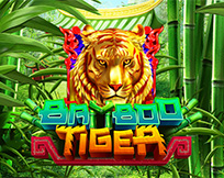 Bamboo Tiger Bamboo Tiger