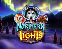 Northern Lights Northern Lights